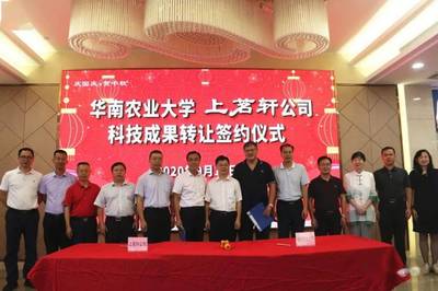 新華章，耀茶界 上茗軒旗艦店開業(yè)慶典暨華南農(nóng)業(yè)大學(xué)科技成果轉(zhuǎn)讓簽約儀式圓滿落幕